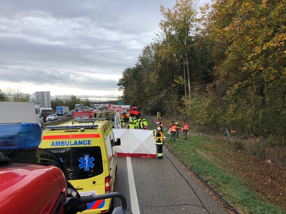 Deitingen SO, 30. Oktober 2018, 12:30 Uhr: Ein Kleinbus der Armee geriet auf der A1 ins Schleudern, durchbrach den Wildschutzzaun, überschlug sich und prallte schliesslich in einen Baum. Vier verletzt ...
