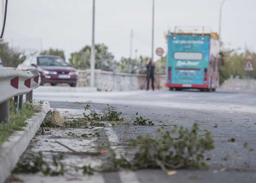 Branches lie on the ground after a tree was hit by an open-top double-decker tourist bus, in background, killing two people and injuring 45 others, including a dozen children, in the tourists destinat ...