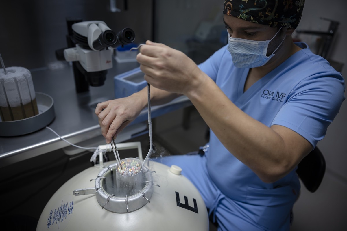 Alejandro Montoya, Embryologe und Leiter IVF Labor, platziert Roehrchen mit gefrorenen Eizellen bei der Vitrifizierung von Eizellen in einem Lagerungstank fuer Kryokonservierung, gefuellt mit fluessig ...