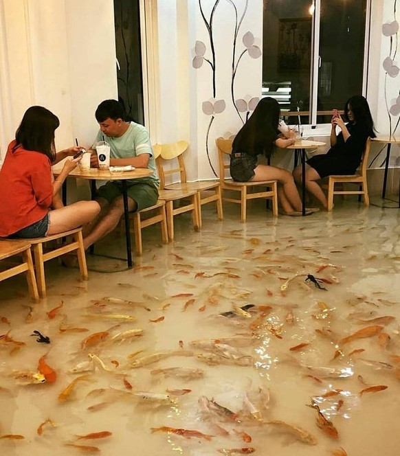 Koi Café in Vietnam. Nein.