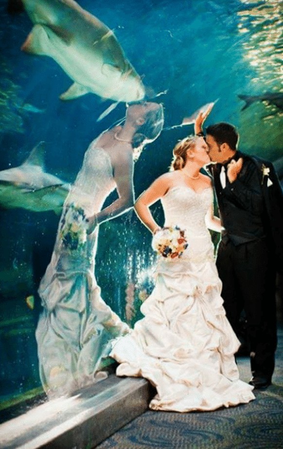 Braut küsst einen Haifisch
Cute News
https://awwmemes.com/i/19640900
