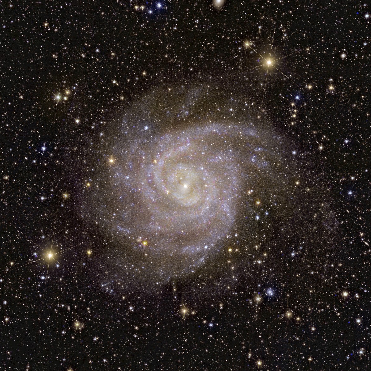 This image provided by the European Space Agency shows Euclid?s view of the galaxy called IC 342. The European Space Agency released Euclid?s first photos Tuesday, Nov. 7, 2023 four months after the s ...