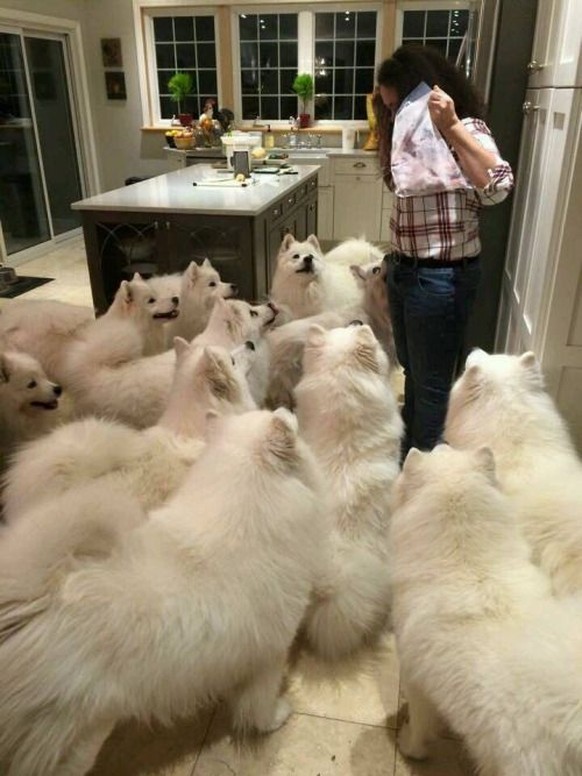cute news tier hunde

https://www.reddit.com/r/Animal/comments/1gepuzx/what_should_i_do/