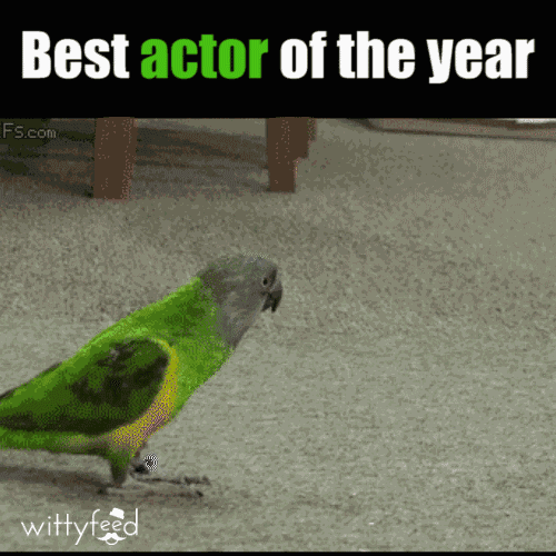 Animiertes GIF