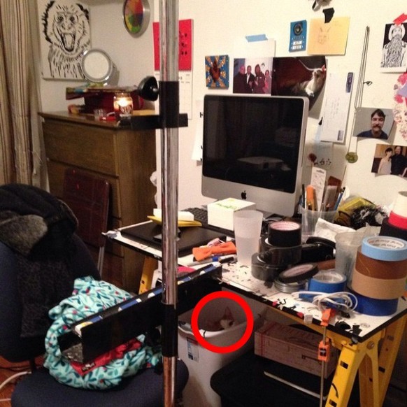 second image