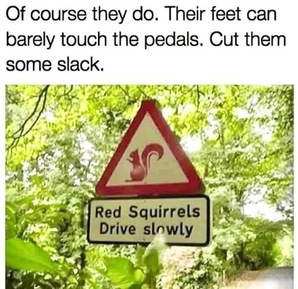 Die lustigsten Memes der Woche: nur im Picdump