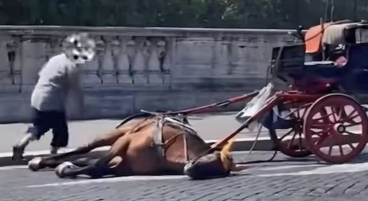 Ein Pferd bricht in Rom während einer Kutschfahrt nach einem heissen Sommertag erschöpft zusammen.