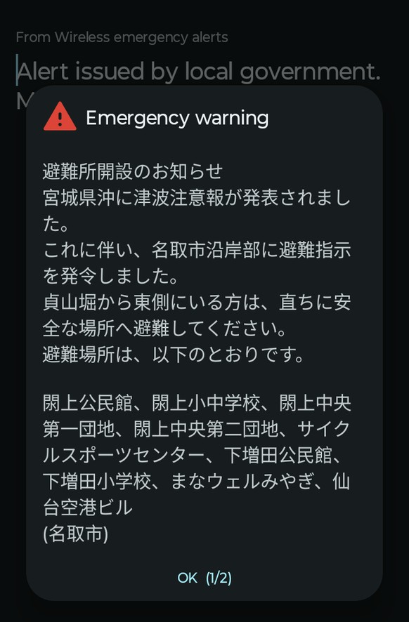 Ausser «Emergency warning» verstand Pius Ott zunächst nichts von der Tsunami-Warnung.