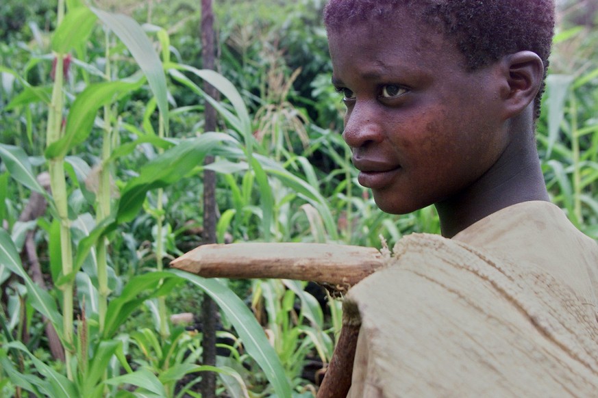 Amadou Kourago, 14, arbeitet auf einer Kakao-Plantage.