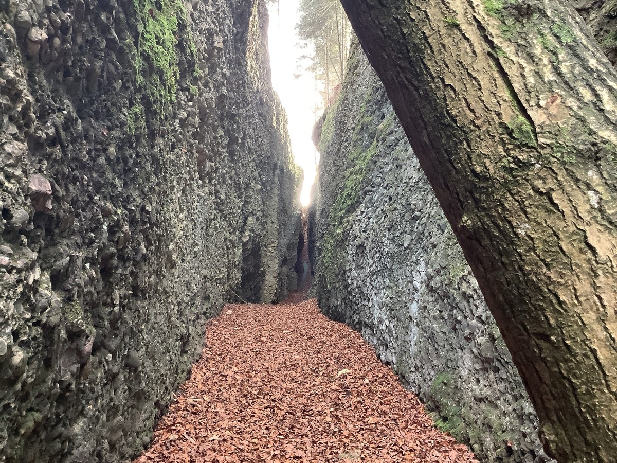 MAZ Medienwoche Wanderung Bachtel