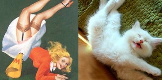 13 Katzen, die besser posieren als jegliche Pin-up-Girls