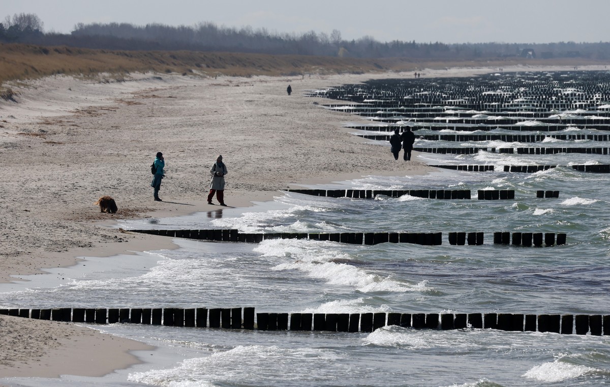 dpatopbilder - 07.04.2025, Mecklenburg-Vorpommern, Wustrow: Spazierg