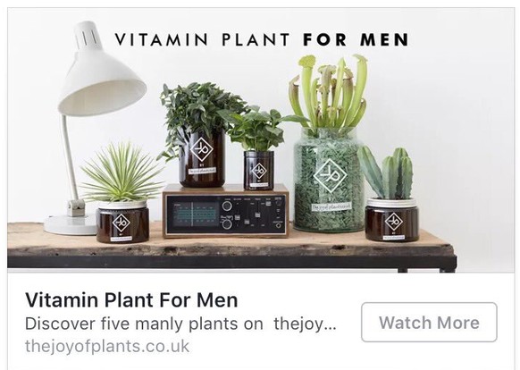 https://twitter.com/search?q=%23fragilemasculinity&src=typd #fragilemasculinity fragile masculinity männlichkeit gender sexismus branding