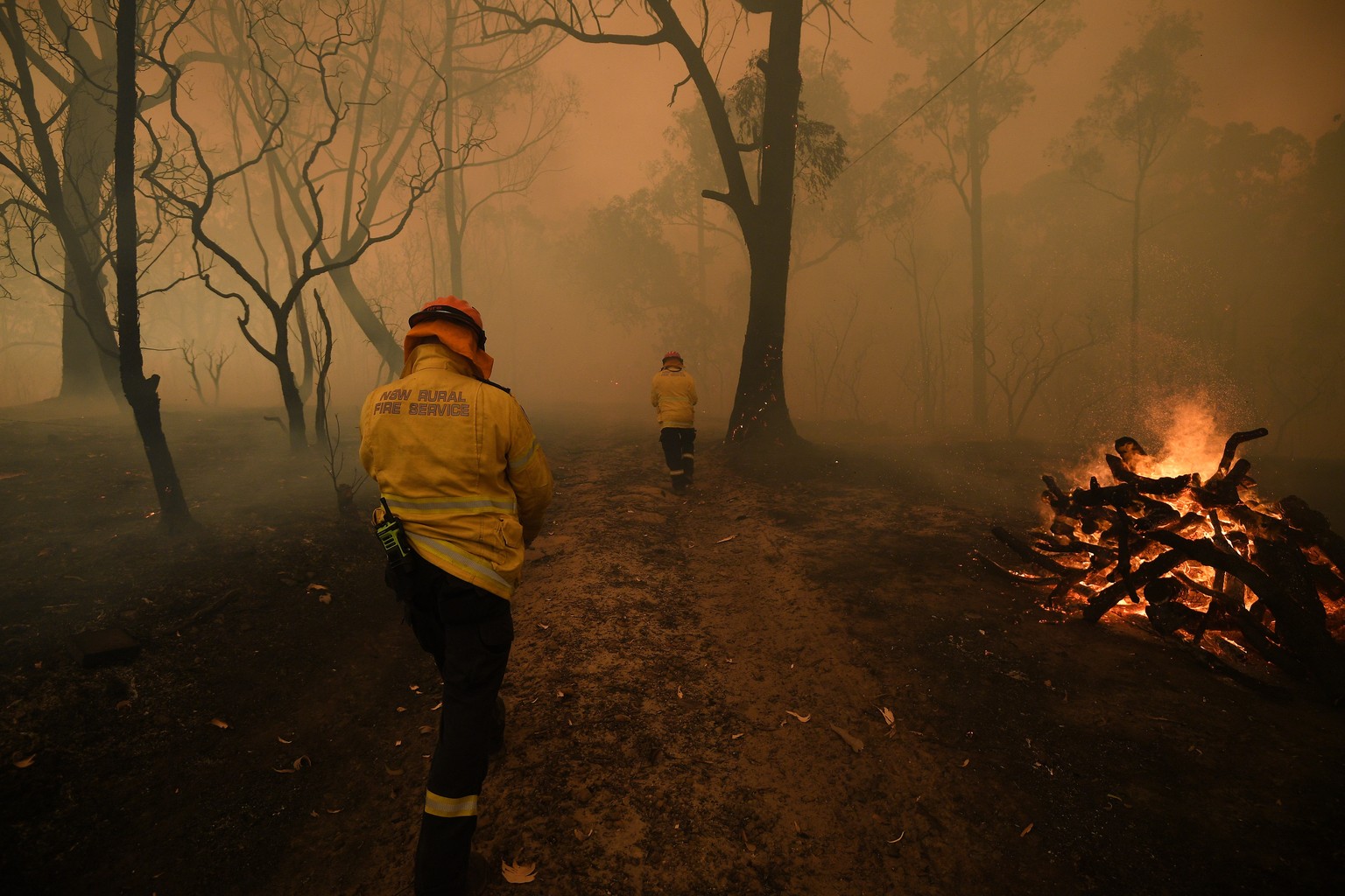 Ein Bild wie aus einem dystopischen Film: Rauch, Feuer und abgebrannte Bäume in Kulnura.
