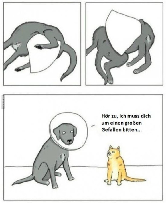 Es hГ¶rt einfach nicht auf ... рџ¤·вЂЌв™ЂпёЏ PICDUMP!\n