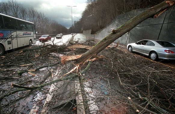 Ein ueber die Fahrbahn gefallener Baum behindert am Sonntag, 26. Dezember 1999 in Bern die Verkehrsteilnehmer. Der orkanartige Sturm Lothar fegte am 26. Dezember 1999 ueber die Schweiz und richtete ri ...