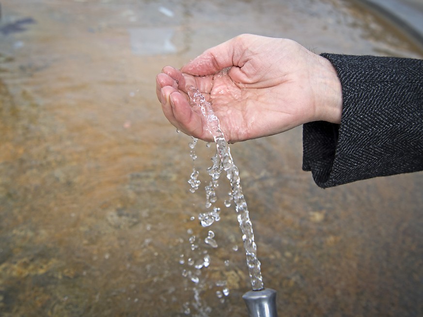 Der Nationalrat will das Gewässerschutzgesetz anpassen, damit synthetische Pestizide, die das Trinkwasser belasten, aus dem Verkehr gezogen werden können. (Themenbild)