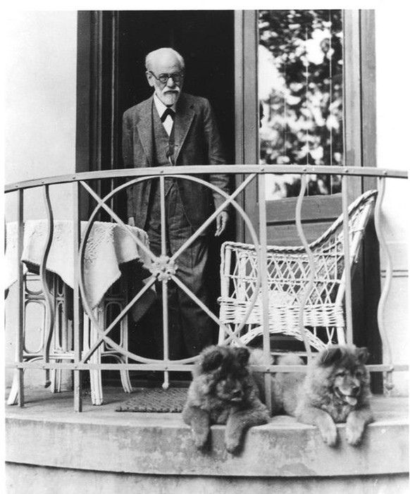 Sigmund mit Freud an den Hunden.