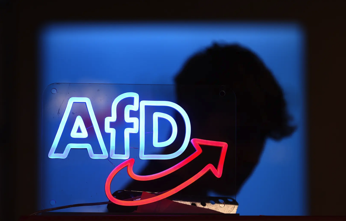 afd sachsen anhalt