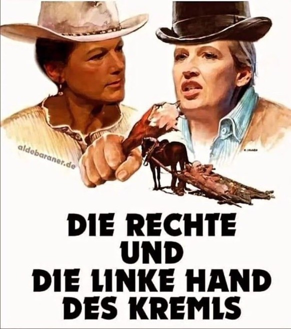 AfD und BSW Meme