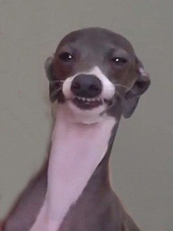 first image