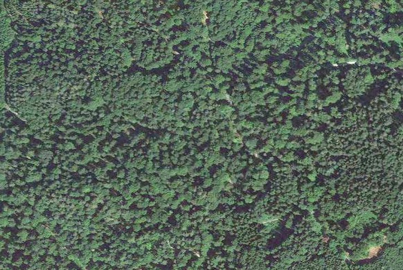 Waldtobel bei Weisslingen.