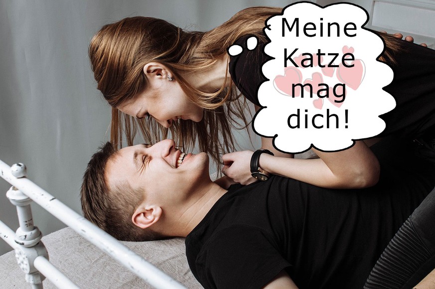 So sieht die Welt aus der Sicht eines Katzenmenschen aus