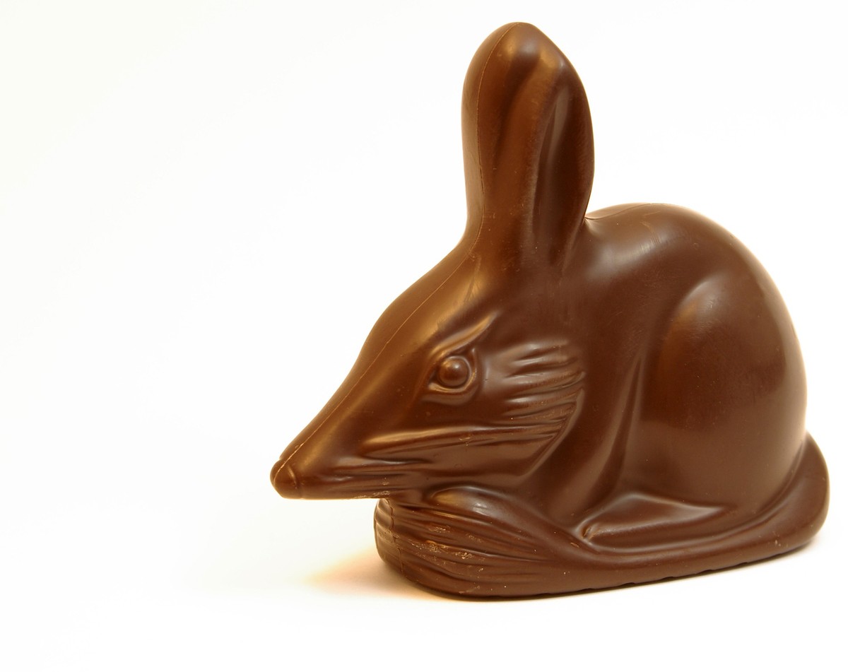 Easter Bilby, A still life of a Chocolate Easter Bilby.