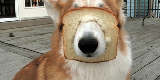 Diese 22 Jö-Fails werden dich vergessen lassen, dass heute erst Dienstag ist