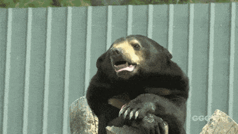 Animiertes GIF