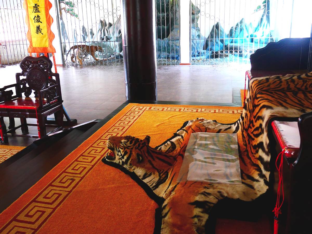 The Tiger Mafia