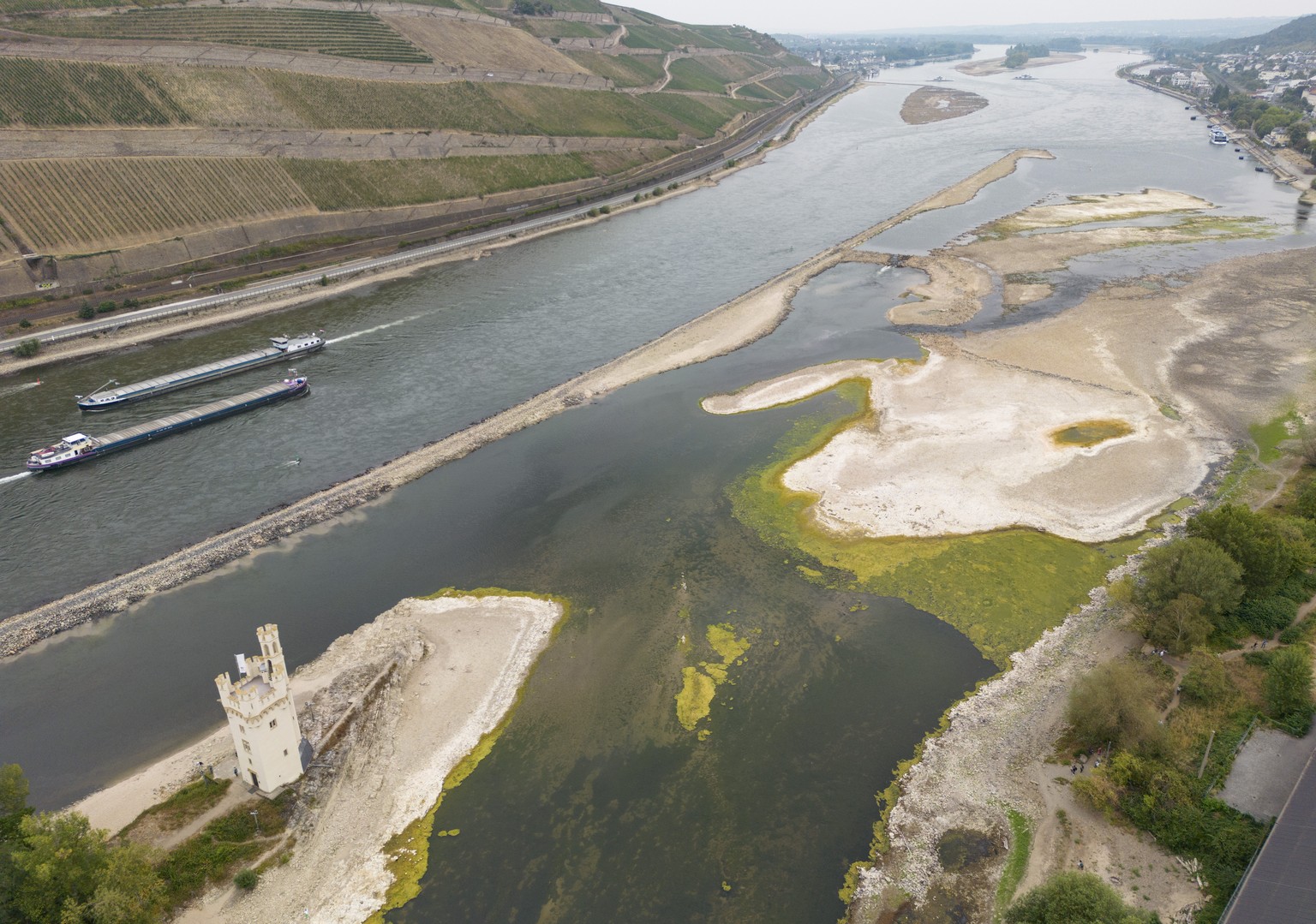 18.08.2022, Rheinland-Pfalz, Bingen: Nach wie vor ist der Pegelstand des Rhein am M�useturm in Bingen extrem niedrig. Bleiben die erhofften Niederschl�ge weiterhin aus, k�nnte die Binnenschifffahrt zu ...