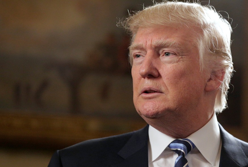 Verfassungsrechtler reichen Klage gegen Trump ein