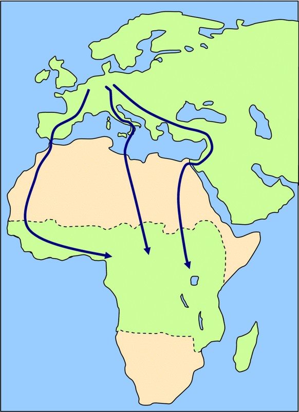 Mittelstreckenzieher: Die Brutgebiete liegen in Europa, die Winterquartiere in Zentralafrika. Die Zugwege verlaufen größtenteils über Land.
https://commons.wikimedia.org/w/index.php?curid=3703421