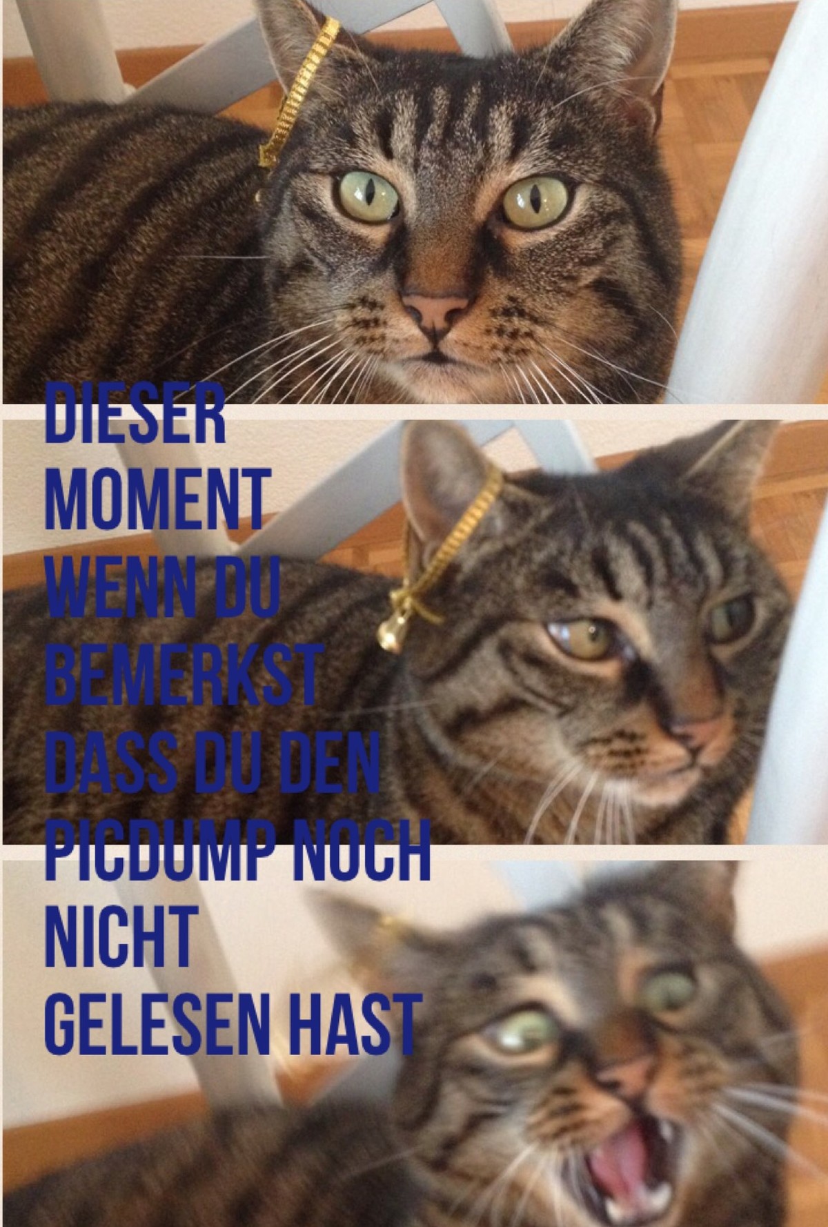 Von Userin Lara Mischler.
