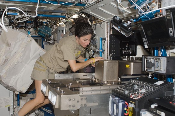 Nicole Stott, Astronautin und Künstlerin