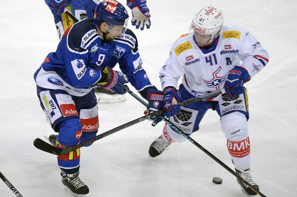 Die Lions kämpfen sich gegen Kloten zum Sieg.&nbsp;