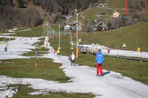 Skifahrer vergnuegen sich auf der Kunstschneepiste der Klostermatte in gruener Landschaft, aufgenommen am Samstag, 7. Januar 2023, in Engelberg im Kanton Obwalden. (KEYSTONE/Urs Flueeler). People enjo ...