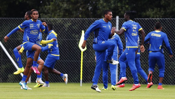 Im Fernduell mit der Schweiz: Ecuador kriegt es mit Frankreich aber mit dem stärksten Team der Gruppe E zu tun.