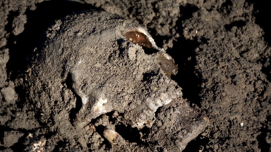 FILE - This image May, 2015, file, photo released by the the Mass Graves Directorate of the Kurdish Regional Government shows a human skull in a mass grave containing Yazidis killed by Islamic State m ...