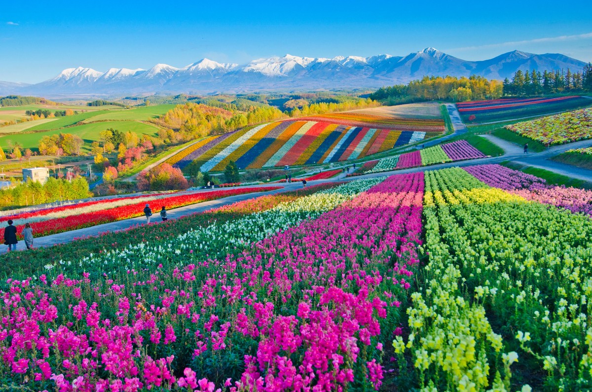 Industrieoffensive im Blumenparadies.