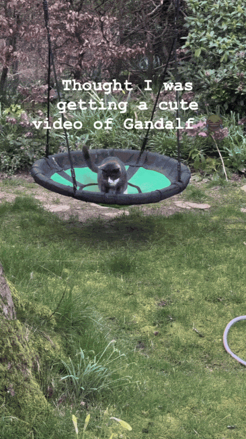 Animated GIF