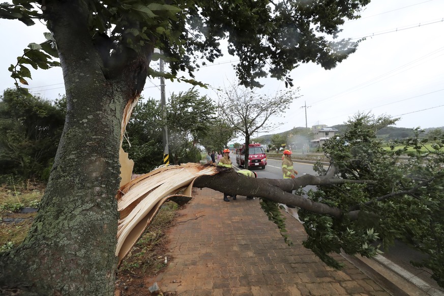 Bäume knickten ein, in Seoul flogen von starken Böen losgelöste Gebäudeteile und andere Gegenstände auf die Strassen der Hauptstadt.
