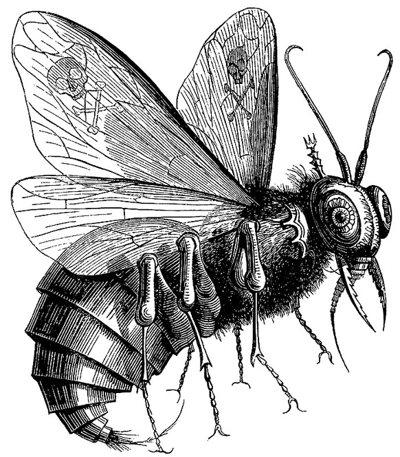 Darstellung des Beelzebubs aus dem Dictionnaire Infernal, 1863. Im Tanach ist er eine lokale Gottheit der Philister. Baal Zebub (hebr.) bedeutet «Herr der Fliegen» und ist vermutlich eine Verballhornu ...