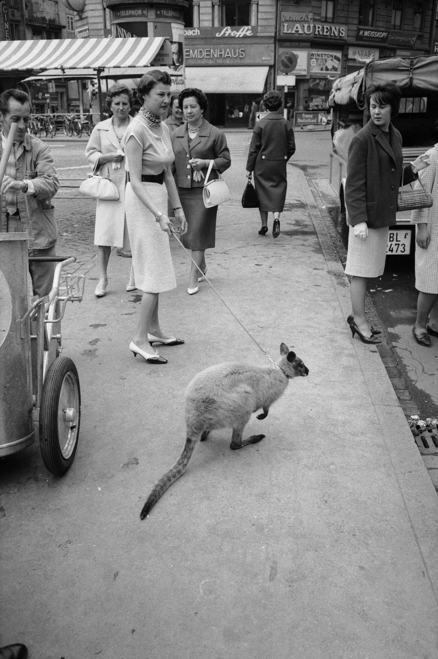 Vermutlich DIE Attraktion von 1961: Ein Artisten-Ehepaar spazierte mit einem Wallaby durch die Stadt.<br data-editable="remove">