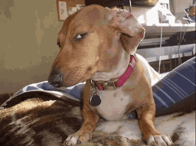 Animiertes GIF
