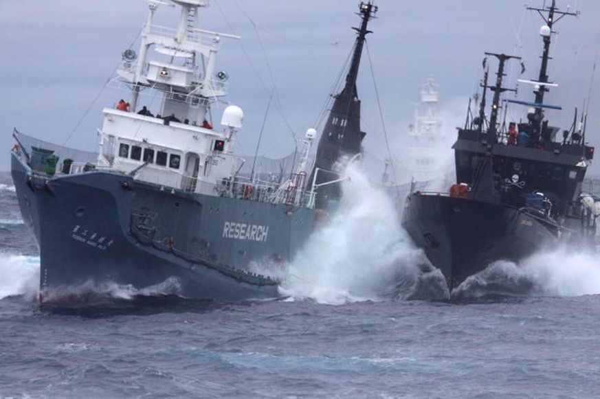 Handgreiflicher Protest: Ein Schiff der Anti-Walfang-Organisation Sea Shepherd (r.) bedrängt das japanische Fabrikschiff Yushin Maru.&nbsp;