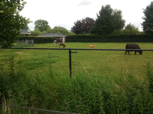 cute news

https://www.reddit.com/r/confusingperspective/comments/dv8h4l/this_calf_on_a_fence/?utm_source=amp&amp;utm_medium=&amp;utm_content=post_num_comments