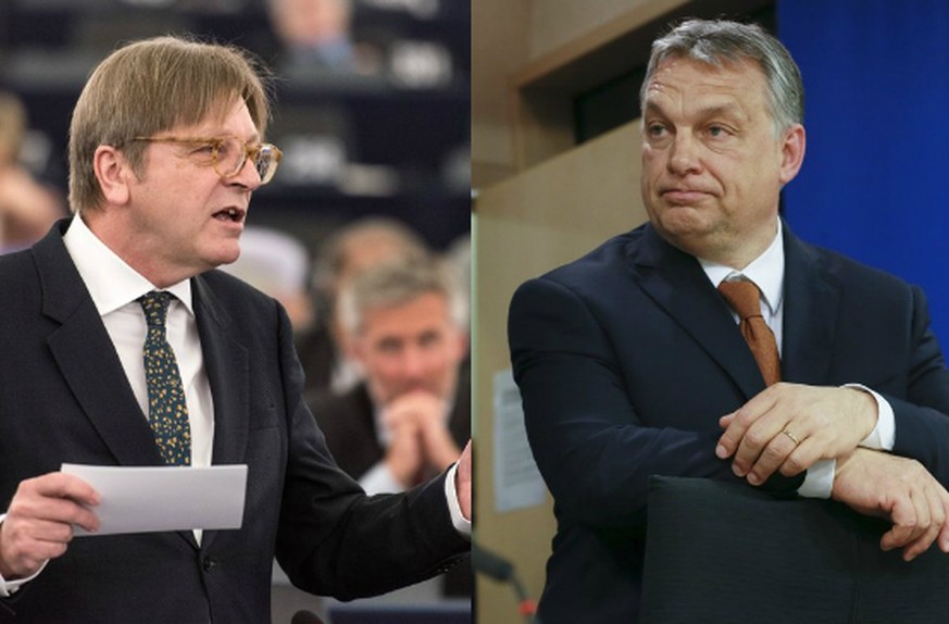 Verhofstadt staucht Orban zusammen.