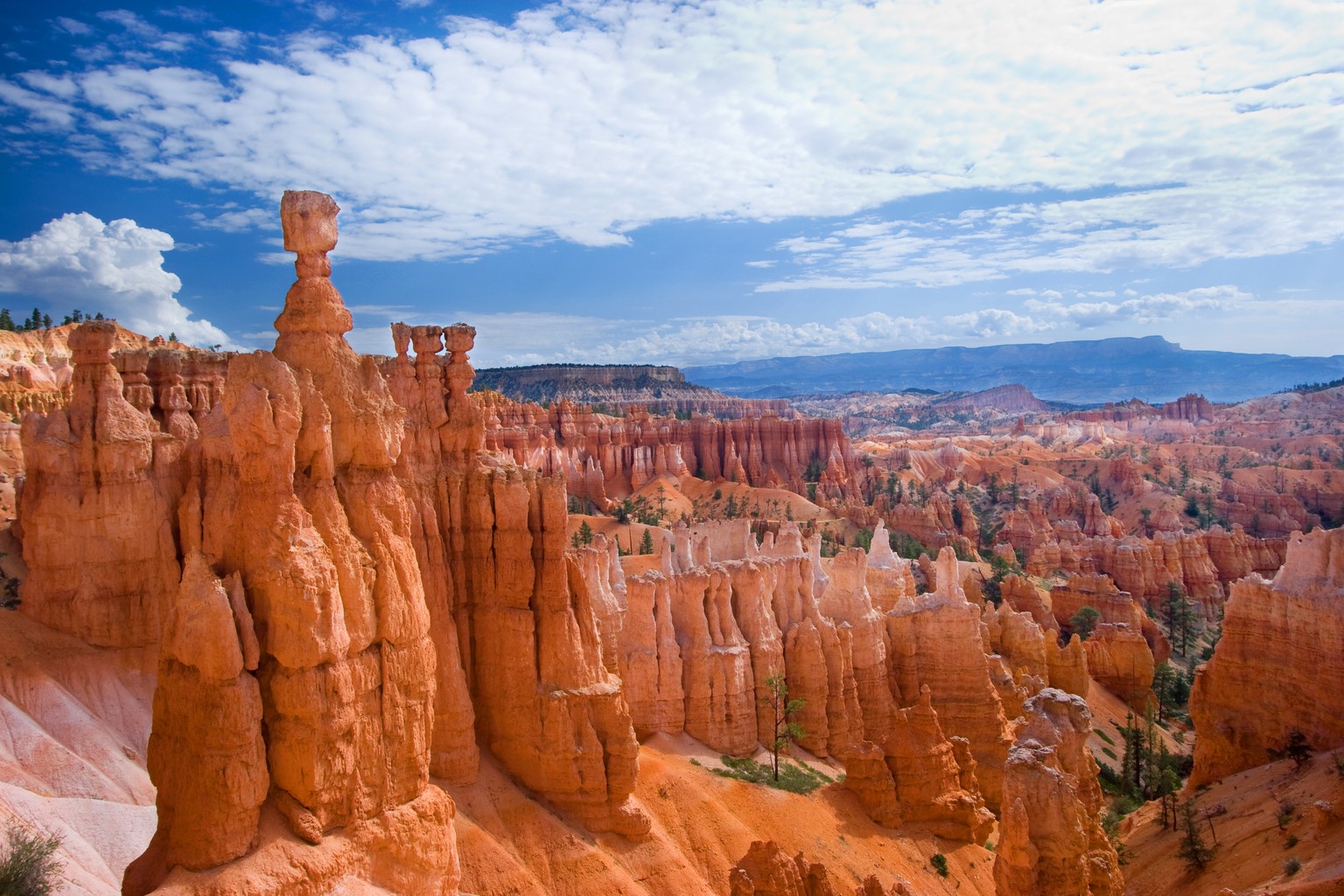 Bryce Canyon
Amerika